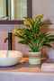 Mica Decorations Evergreen - Kunstplant H49 x Ø40 cm - Terracotta bloempot - Groen