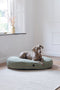 Designed by Lotte Yndis - Hondenkussen - Ovaal - Groen - 115x85x15 cm