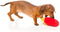 Fuzzyard Plush Toy French Fries - Hondenspeelgoed - 1 stuk