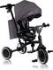 Lionelo Tris Plus - Driewieler - 2-in-1 tot 5 jaar - 360° draaibare zitting - Grey Stone