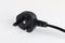 Zuiver Tripod Vloerlamp/ Staande driepoot lamp Wood Zwart