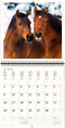 2026 Kalender schrijven 30 x 30 paarden - gratis 2025