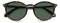 Polaroid PLD6233 - Zonnebril - Green Polarized - Bruin