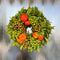 Echte Krans Matteo | 30 cm Ø | Kranz Herbst | krans voor binnen en buiten | deurkrans | Krans landelijk | Herfstdecoratie | Herfst krans | Pompoen decoratie