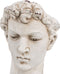 Beeld David 28 x 22 x 33 cm Hars