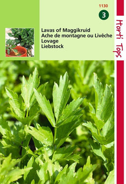 2 stuks - Hortitops - Lavas maggiplant