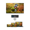 Thomson 50UA5S13 - Ultra HD LCD TV - 50