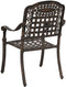 vidaXL - Tuinstoelen - 2 - stuks - in - bronzen - gietaluminium
