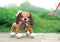 Peppy Pups Bruine honde - Mijn hond Peppy