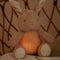 Little Dutch Newborn - Knuffelkonijn Licht & Geluid - Bruin