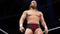 2K WWE 2K16 - PS4 - Sportgame met grootste selectie WWE Superstars - Geweld (16+)
