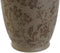 Vaas Home ESPRIT Bruin Groen Keramiek Blad van een plant 13 x 13 x 35 cm