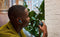 JBL Live 3 Flex - Draadloze oordopjes - ANC - Zilver