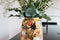 TS Collection - Bloempot hoog Cotton cream - 30x42 - Metaal & Epoxy - Exclusieve woonitems voor binnen - Handgemaakt - Unieke print - Designed by Lammie