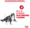 Royal Canin Urinary Care - Katten Natvoer in Gravy - 12 x 85 gr