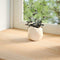 vidaXL - Vensterbanken - 2 - st - onbehandeld - 160x20x2 - cm - massief - eikenhout