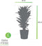 Dracaena Janet Lind in Elho® Greenville pot