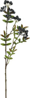 Pyracanthasteel 2.5x7.5x68 cm blw