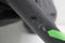 Maxi-Cosi Lara² - Buggy - Compact en licht - Essential Graphite