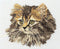 Thea Gouverneur - Borduurpakket met telpatroon - 930 - Voorgesorteerde DMC Garens - Langharige Bruine Kat - Linnen - 30 cm x 40 cm - DIY Kit