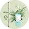 Plant in a Box - Eucalyptus pulverulenta 'Baby Blue' - Eucalyptusstruik - Tuinplant - Pot 19cm - Hoogte 40-45cm