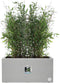 Elho Vivo Next Lang 60 - Plantenbak voor Binnen & Buiten - 100% Gerecycled Plastic - L 59.0 x H 29.2 cm - Living Concrete