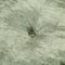 vidaXL - Poef - rond - 40x20 - cm - fluweel - groen