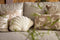 Dutch Decor ORLI - Kussenhoes 45x45 cm - Pumice Stone - beige - met rits - zonder binnenkussen