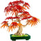 LEGO Botanicals - Japanse Esdoorn Bonsaiboompje - 474 onderdelen - Donkergroen