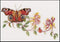 Thea Gouverneur - Borduurpakket met telpatroon - 439A - Voorgesorteerde DMC Garens - Vlinder Kamperfoelie - Aida - 29 cm x 18 cm - DIY Kit