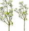 PTMD Blossom Bloem Mini Bloemen Kunsttak - 61 x 12 x 27 cm - Wit