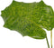 Decorum Calathea Network met Elho B.for soft antracite – ↨ 45cm – ⌀ 14cm