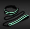 NS Novelties - Glo Collar And Leash - Bondage / SM Collar and leash Glow in the dark