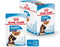 Royal Canin Maxi Natvoer - Puppy-Hondenvoer - 10x140 g