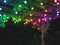 Twinkly Festoon - Lichtsnoer - 20 RGB LED's - 10 Meter Zwarte Kabel