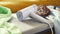 Philips STH3020/10 - Kledingstomer - 1000W - Grijs/Wit