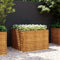 vidaXL - Plantenbak - verhoogd - 100x100x69 - cm - cortenstaal