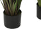 Decoratieve plant Home ESPRIT PVC Polyethyleen 35 x 35 x 120 cm (2 Stuks)