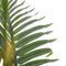 Decoratieve plant Areca Groen PVC 150 cm Palmboom