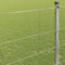 vidaXL - Veldomheining - 1,6x50 - m - Gegalvaniseerd - Staal