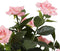 Mica Decorations Rozenstruik Kunstplant in Bloempot Stan - H33 x Ø25 cm - Roze