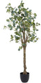 Decoratieve plant 78 x 68 x 150 cm Groen PVC Eucalyptus