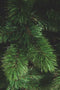 Triumph Tree Smalle Kunstkerstboom Camden - 120x69 cm - Groen