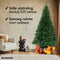 Nordlandia Kunstkerstboom - 180 cm - 525 takken - Realistische uitstraling - Groen