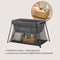 Lionelo Alice - 3 in 1 Babybedje Box Reisbedje - T25-schuimmatras 2 Hoogteposities - Grijs