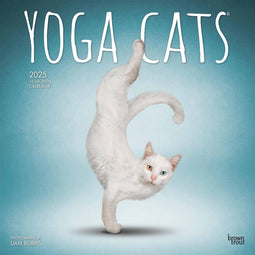 Yoga Cats Kalender 2025