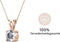 Yolora Dames Ketting met Hanger - Kalpa Camaka Kristal - Rosé kleurig - 18K Roségoud Verguld - Vrouwen Collier Rose Gold - Halsketting - Sieraden - Luxe Giftbox - Geschenkdoos - Cadeau doos - Exclusieve Geschenkverpakking - Mooie Cadeauverpakking