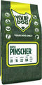 Yourdog duitse pinscher pup - 3 KG