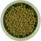 Yourdog Dwerg- of Toypoedel Rasspecifiek Senior Hondenvoer 12kg | Hondenbrokken