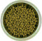 Yourdog dwerg- of toypoedel senior - 3 KG